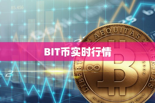 BIT币实时行情