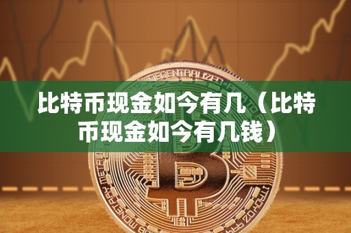 比特币现金如今有几（比特币现金如今有几钱）