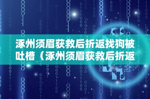 涿州须眉获救后折返找狗被吐槽（涿州须眉获救后折返找狗被吐槽视频）