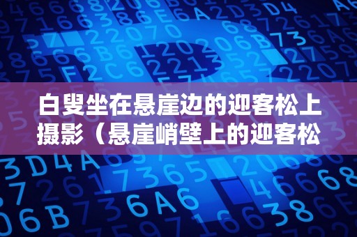 白叟坐在悬崖边的迎客松上摄影（悬崖峭壁上的迎客松）