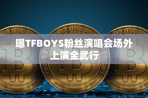 曝TFBOYS粉丝演唱会场外上演全武行