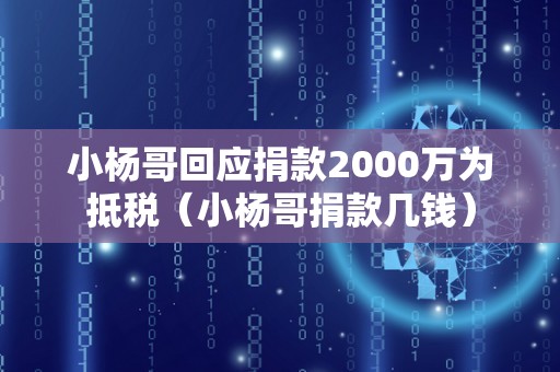 小杨哥回应捐款2000万为抵税（小杨哥捐款几钱）