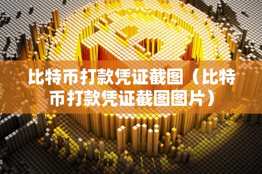 比特币打款凭证截图（比特币打款凭证截图图片）