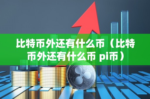 比特币外还有什么币（比特币外还有什么币 pi币）