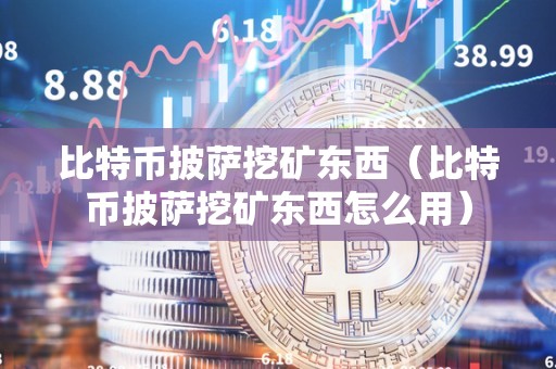 比特币披萨挖矿东西（比特币披萨挖矿东西怎么用）