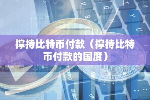 撑持比特币付款（撑持比特币付款的国度）