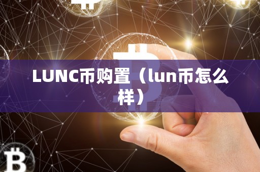 LUNC币购置（lun币怎么样）