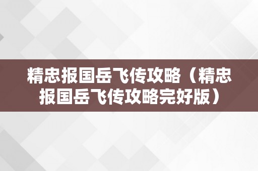 精忠报国岳飞传攻略（精忠报国岳飞传攻略完好版）