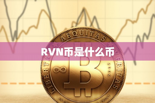 RVN币是什么币