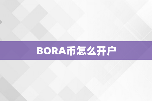 BORA币怎么开户