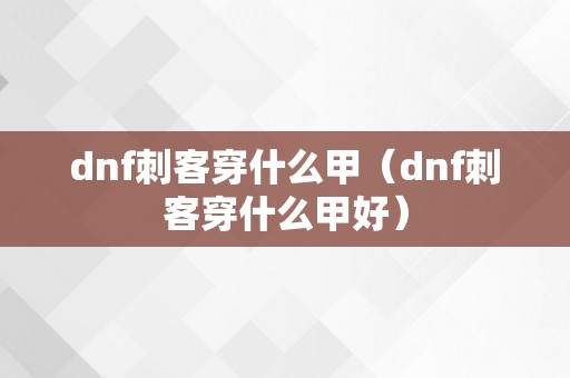 dnf刺客穿什么甲（dnf刺客穿什么甲好）