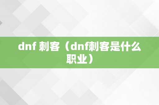 dnf 刺客（dnf刺客是什么职业）