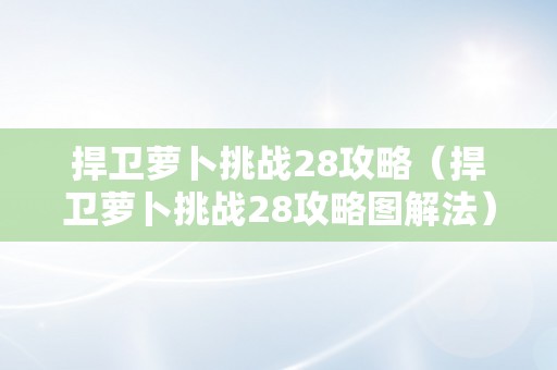 捍卫萝卜挑战28攻略（捍卫萝卜挑战28攻略图解法）