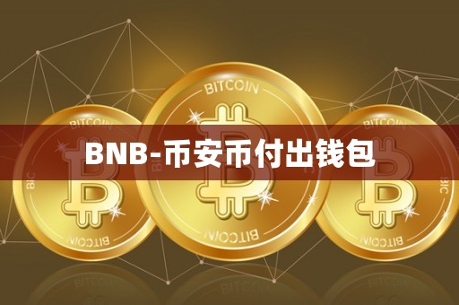 BNB-币安币付出钱包