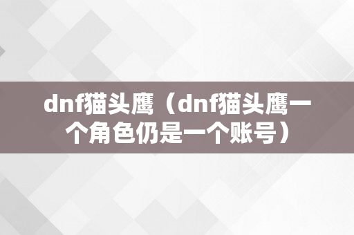 dnf猫头鹰（dnf猫头鹰一个角色仍是一个账号）