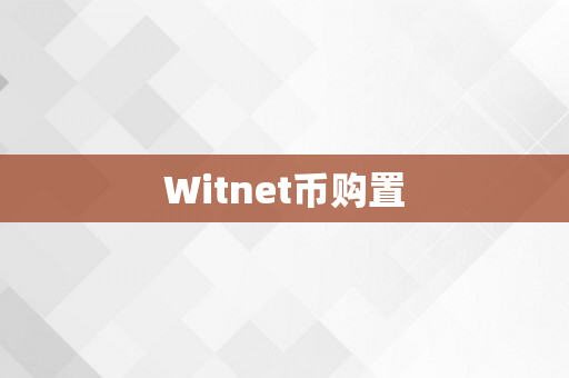 Witnet币购置