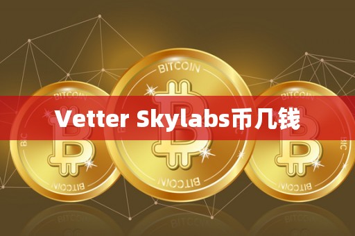 Vetter Skylabs币几钱