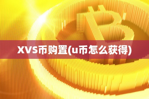 XVS币购置(u币怎么获得)