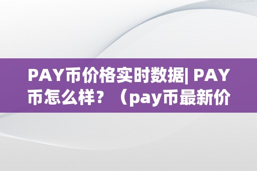 PAY币价格实时数据| PAY币怎么样？（pay币最新价格）