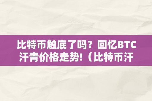 比特币触底了吗？回忆BTC汗青价格走势!（比特币汗青价格查询）