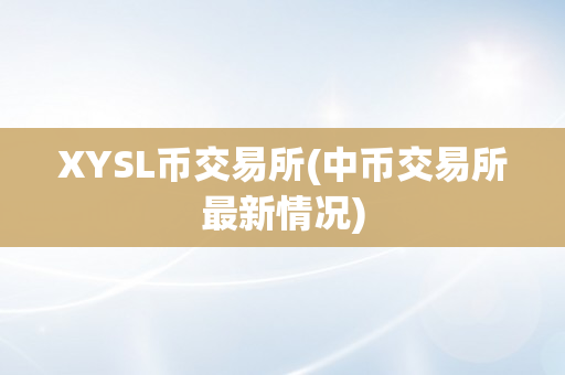 XYSL币交易所(中币交易所最新情况)