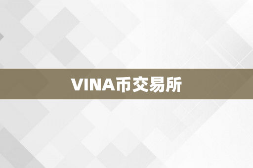 VINA币交易所