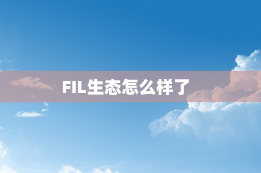 FIL生态怎么样了  