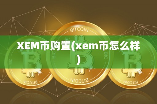 XEM币购置(xem币怎么样)