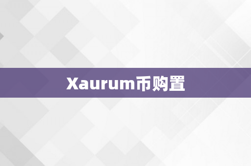 Xaurum币购置