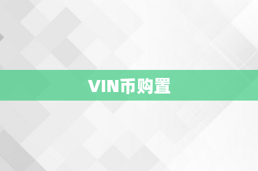 VIN币购置