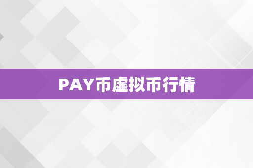 PAY币虚拟币行情