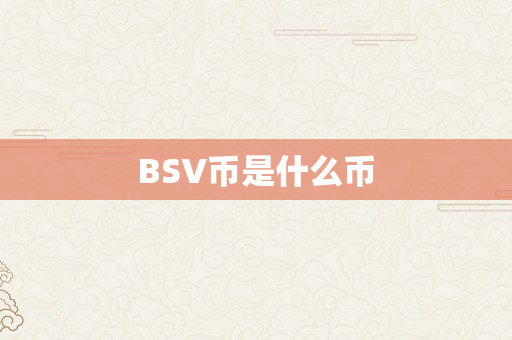 BSV币是什么币