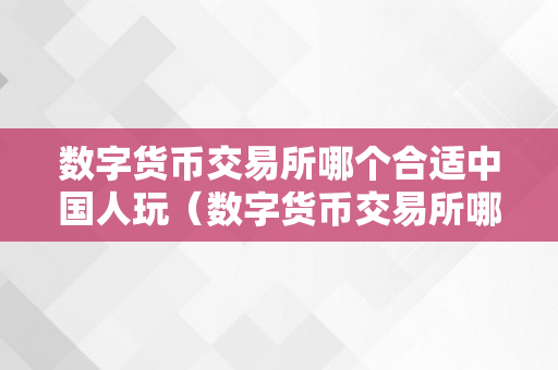 数字货币交易所哪个合适中国人玩（数字货币交易所哪个好用）